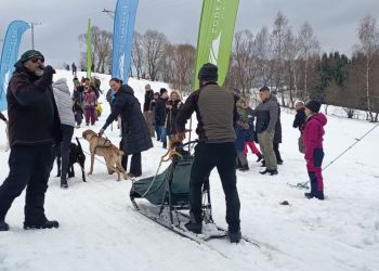 Wyścigi psich zaprzęgów „W Krainie Wilka” wróciły do Bieszczad. Zawody mimo trudnych warunków