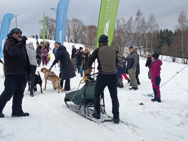 Wyścigi psich zaprzęgów „W Krainie Wilka” wróciły do Bieszczad. Zawody mimo trudnych warunków