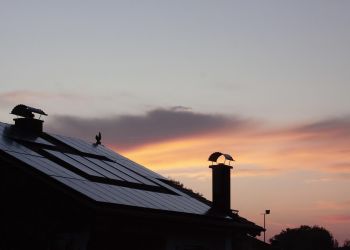 Straż Miejska w&nbsp;Dębicy nasila kontrole pieców w&nbsp;gospodarstwach domowych