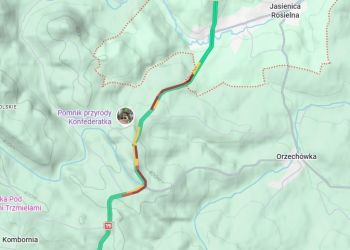 Paraliż na&nbsp;DK19 w&nbsp;kierunku Rzeszowa. Ciężarówka zablokowała drogę