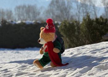 Miś Lesio w drodze po pomoc dla Maksa. Trwa zbiórka na terapię genetyczną za 15 mln zł 2 - Polskie Radio Rzeszów Miś Lesio w drodze po pomoc dla Maksa. Trwa zbiórka na terapię genetyczną za 15 mln zł