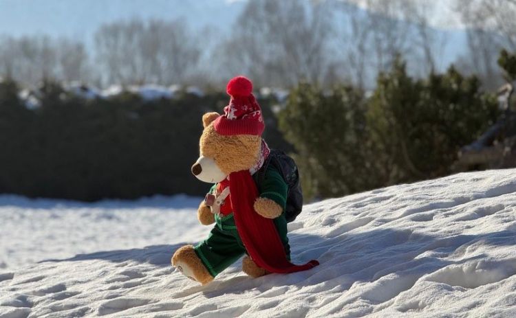 Miś Lesio w drodze po pomoc dla Maksa. Trwa zbiórka na terapię genetyczną za 15 mln zł 1 - Polskie Radio Rzeszów Miś Lesio w drodze po pomoc dla Maksa. Trwa zbiórka na terapię genetyczną za 15 mln zł