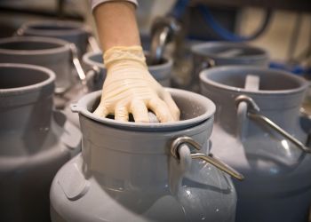 Serwatczanka – smak dawnej wsi