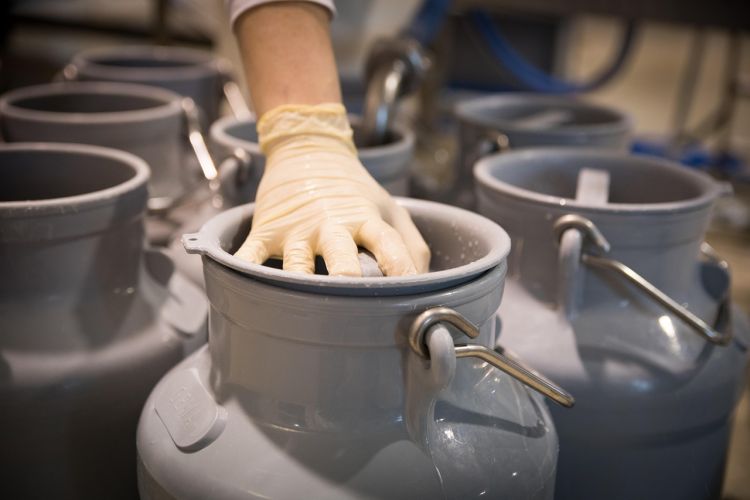 Serwatczanka – smak dawnej wsi