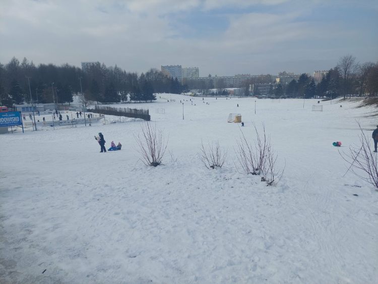 Ferie w&nbsp;Rzeszowie pod&nbsp;znakiem śniegu. Górka na&nbsp;Baranówce pełna dzieci