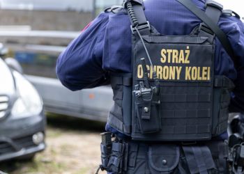 Pijana pasażerka zakłócała porządek w&nbsp;pociągu relacji Monachium-Przemyśl