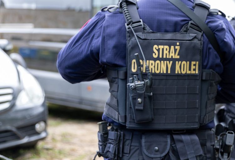 Pijana pasażerka zakłócała porządek w&nbsp;pociągu relacji Monachium-Przemyśl