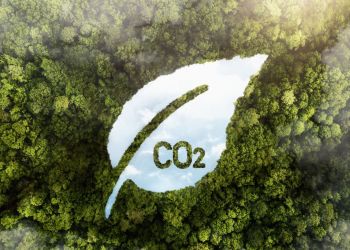 Greenwashing pod&nbsp;lupą. Unia Europejska zaostrza przepisy przeciw „zielonemu kłamstwu”