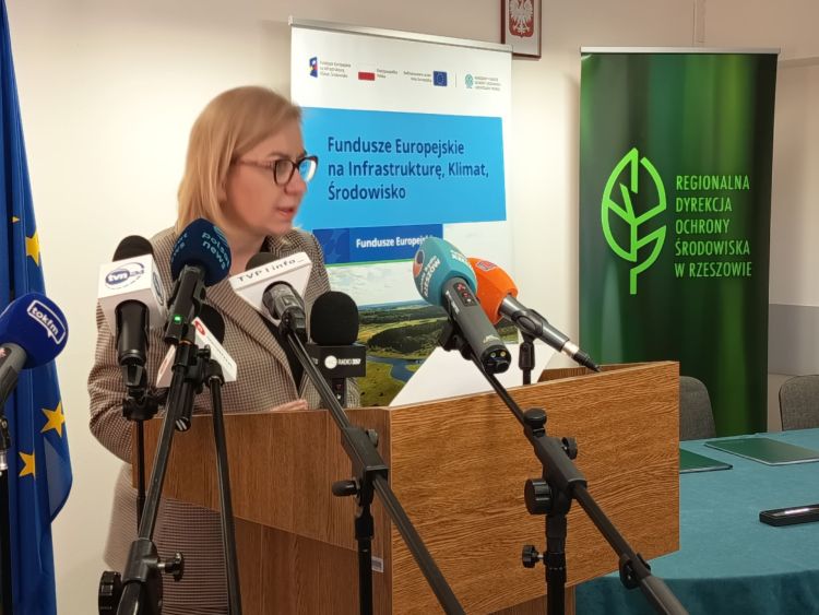 16 mln zł na&nbsp;ochronę niedźwiedzi i&nbsp;bezpieczeństwo mieszkańców. Nowy program dla Podkarpacia i&nbsp;Małopolski