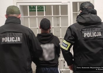 Kilkadziesiąt osób zatrzymanych na&nbsp;Podkarpaciu. Ogólnopolska akcja policji