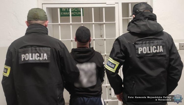 Kilkadziesiąt osób zatrzymanych na&nbsp;Podkarpaciu. Ogólnopolska akcja policji