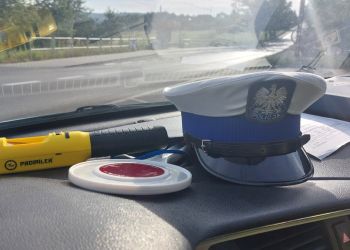 Pijany kierowca uderzył w&nbsp;znak w&nbsp;Rzeszowie. W&nbsp;aucie przewoził wnuczki