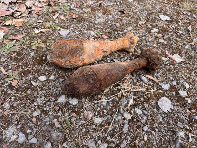 Niebezpieczne znalezisko w&nbsp;powiecie mieleckim. Leśnicy natrafili na&nbsp;niewybuchy