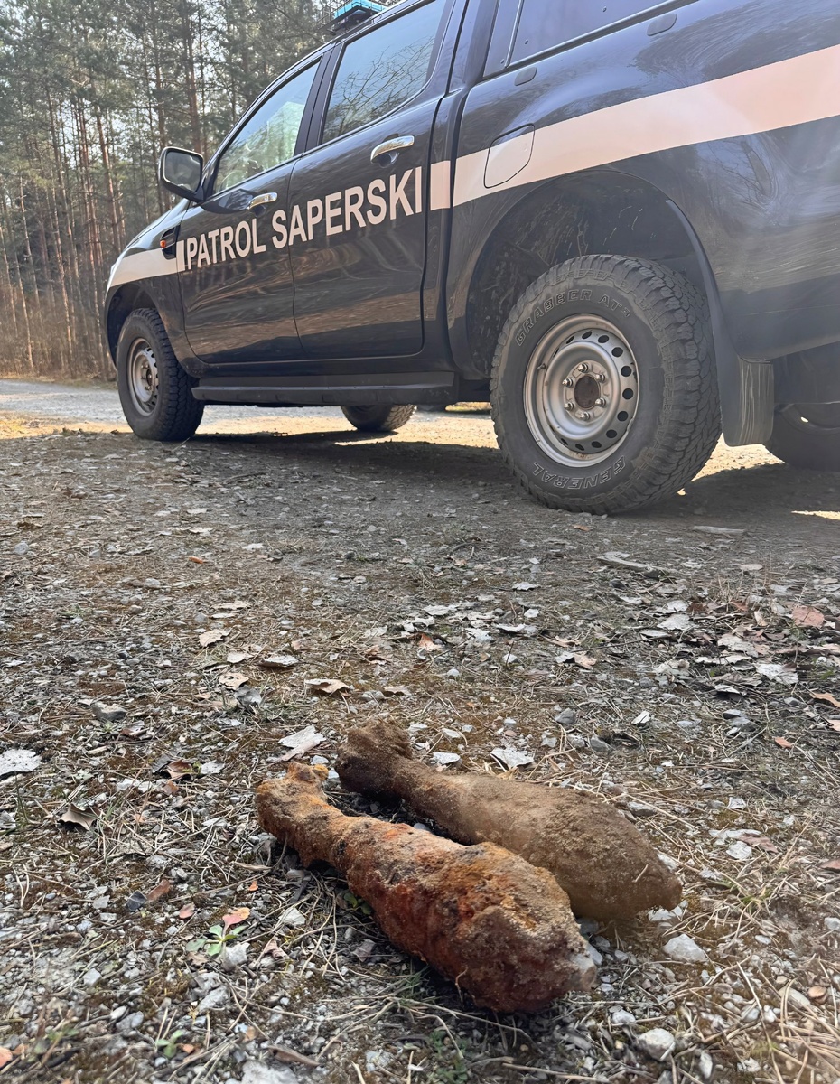Niebezpieczne znalezisko w powiecie mieleckim. Leśnicy natrafili na niewybuchy - Polskie Radio Rzeszów