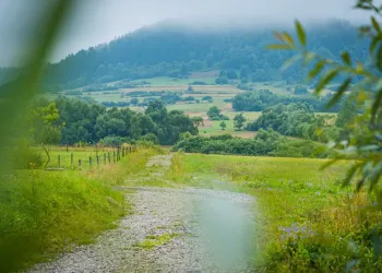 Wieża widokowa i&nbsp;nowe wiaty powstaną na&nbsp;podkarpackim odcinku Głównego Szlaku Beskidzkiego