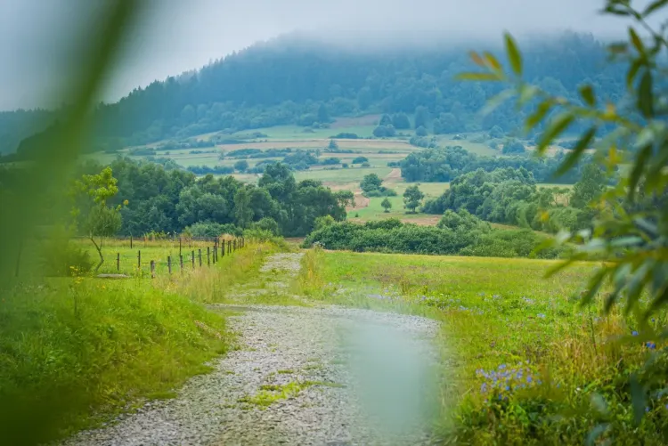 Wieża widokowa i&nbsp;nowe wiaty powstaną na&nbsp;podkarpackim odcinku Głównego Szlaku Beskidzkiego