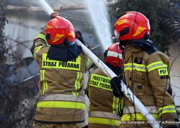 Seria pożarów traw w&nbsp;regionie. Najwięcej w&nbsp;powiatach jasielskim, krośnieńskim i&nbsp;stalowowolskim