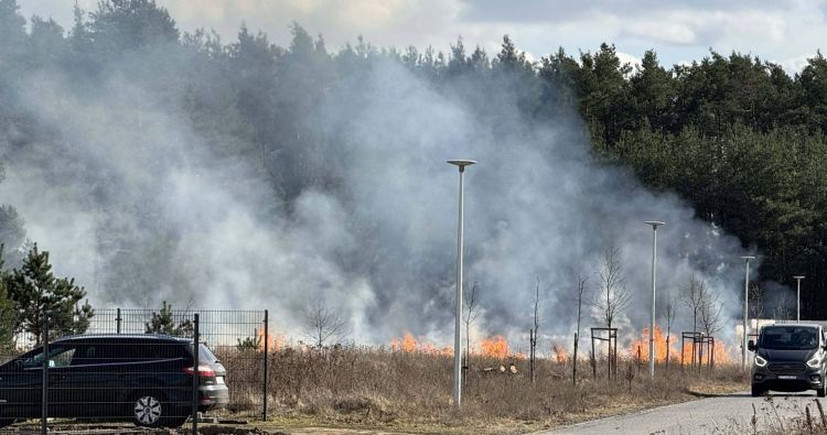 Pożary traw na&nbsp;Podkarpaciu. Strażacy interweniują w&nbsp;kilku miejscowościach