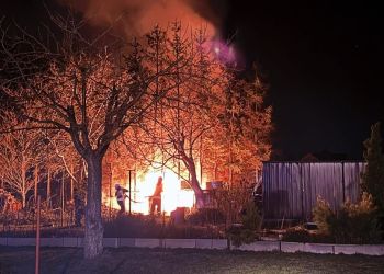 Pożar w&nbsp;Sieniawie, ogień strawił iglaste drzewa