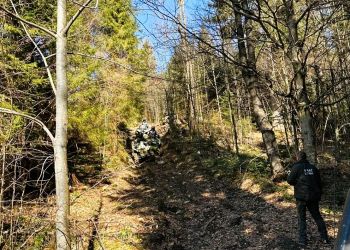 Nielegalne rajdy quadów w Bieszczadach i porzucony pies w lesie. Interweniowała Straż Leśna 2 - Polskie Radio Rzeszów Nielegalne rajdy quadów w Bieszczadach i porzucony pies w lesie. Interweniowała Straż Leśna