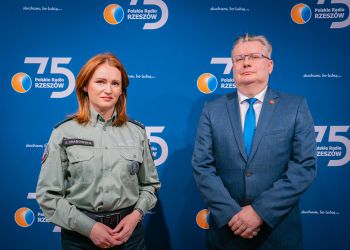 Donosy podatkowe – kto i&nbsp;dlaczego zgłasza nieprawidłowości?