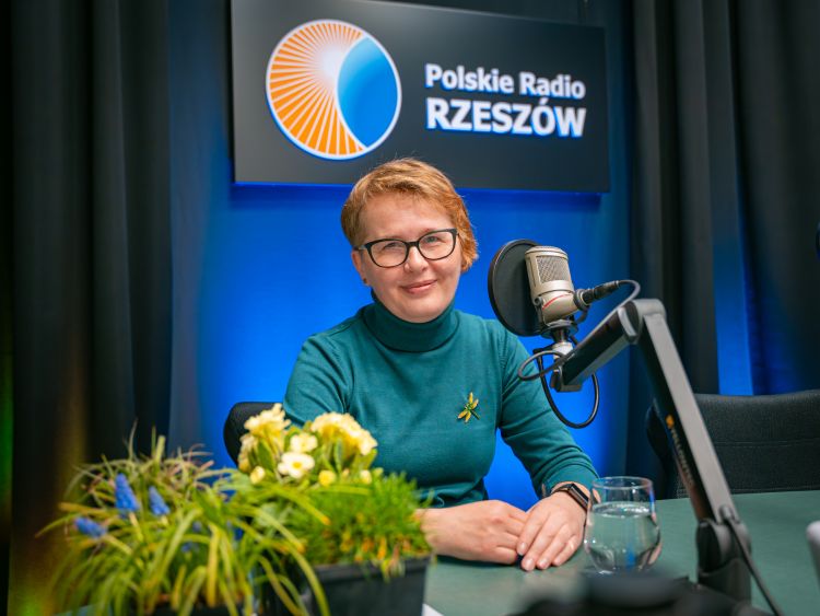 Jak zaaranżować kwiaty na balkonie i tarasie? 1 - Polskie Radio Rzeszów Jak zaaranżować kwiaty na balkonie i tarasie?