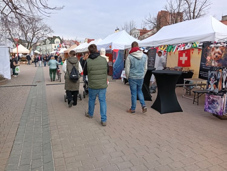 Jarmark Wielkanocny w&nbsp;Tarnobrzegu. Rękodzieło, tradycja i&nbsp;świąteczne atrakcje