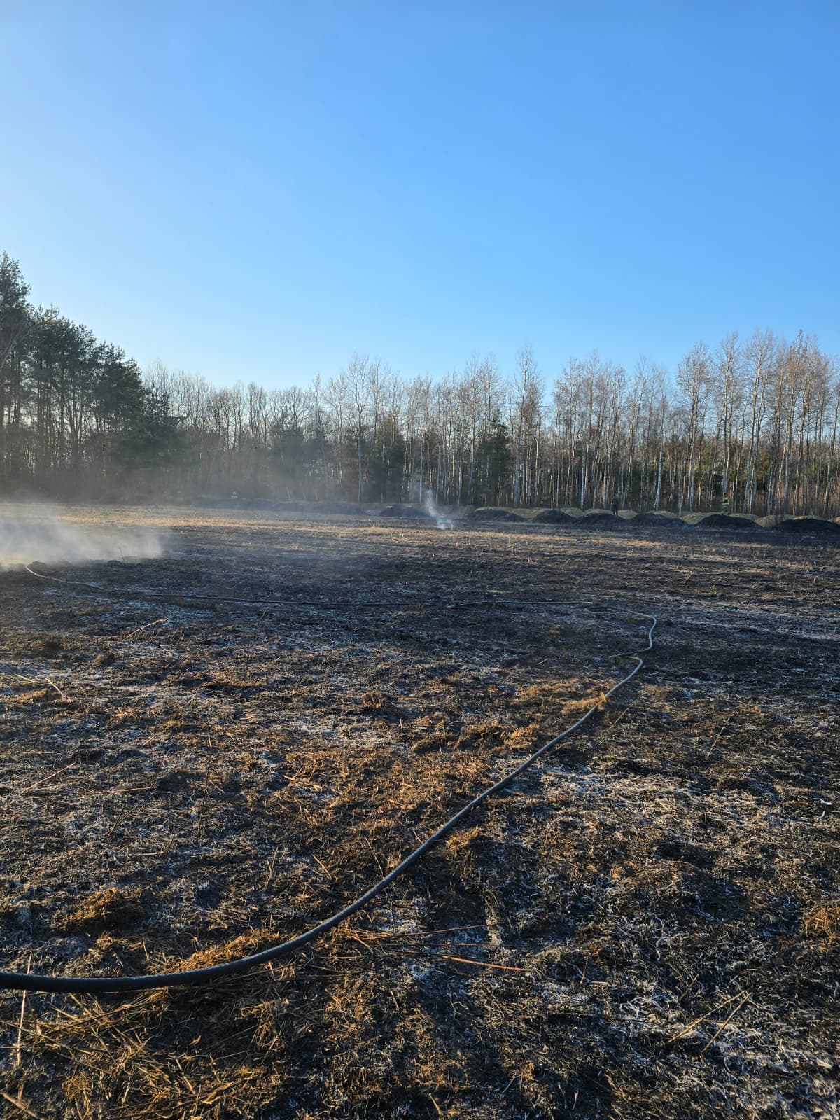 Do 215 pożarów traw wyjeżdżali w weekend podkarpaccy strażacy - Polskie Radio Rzeszów