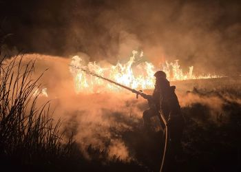 Do 215 pożarów traw wyjeżdżali w weekend podkarpaccy strażacy 11 - Polskie Radio Rzeszów Do 215 pożarów traw wyjeżdżali w weekend podkarpaccy strażacy