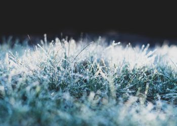 Ostrzeżenie IMGW przed&nbsp;przymrozkami na&nbsp;Podkarpaciu. Temperatura spadnie poniżej zera