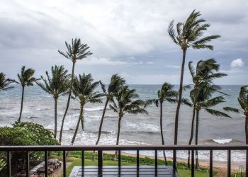 Powodzie, osuwiska i&nbsp;ewakuacje na&nbsp;Wyspach Kanaryjskich z&nbsp;powodu burzy Therese