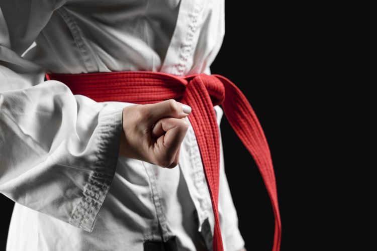 Ogólnopolski Turniej Karate Wings Cup 2026 w&nbsp;Mielcu