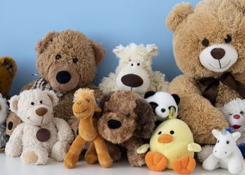 Muzeum Dobranocek w Rzeszowie zbiera pluszowe misie. Powstanie wyjątkowa „ściana misiów” 2 - Polskie Radio Rzeszów Muzeum Dobranocek w Rzeszowie zbiera pluszowe misie. Powstanie wyjątkowa „ściana misiów”