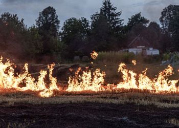 Ponad 40 pożarów traw na Podkarpaciu w weekend. Strażacy ostrzegają przed tragicznymi skutkami 3 - Polskie Radio Rzeszów Ponad 40 pożarów traw na Podkarpaciu w weekend. Strażacy ostrzegają przed tragicznymi skutkami