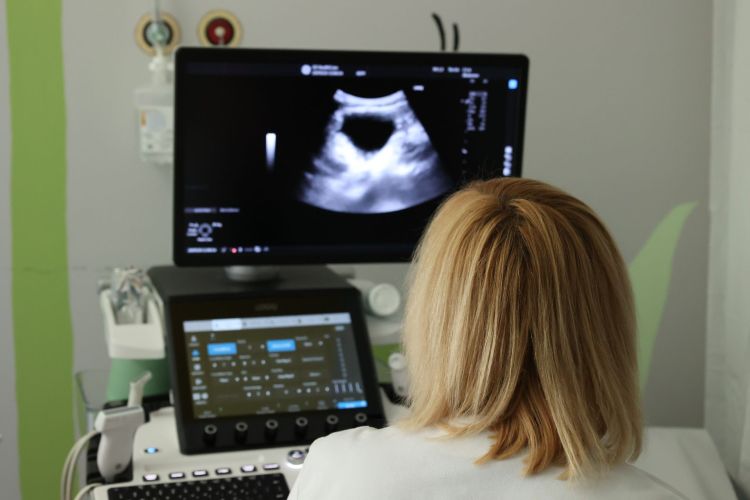 Bezpłatne badania USG dla dzieci w&nbsp;Rzeszowie. Ruszyła akcja „Profilaktyka jest ok”