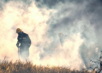 113 razy podkarpaccy strażacy wyjeżdżali w&nbsp;tym roku do&nbsp;pożarów traw
