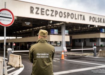 Fot. BiOSG/ilustracyjna