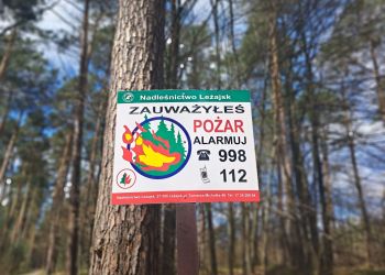 Leśnicy alarmują: W&nbsp;podkarpackich lasach jest sucho. O&nbsp;pożar nietrudno