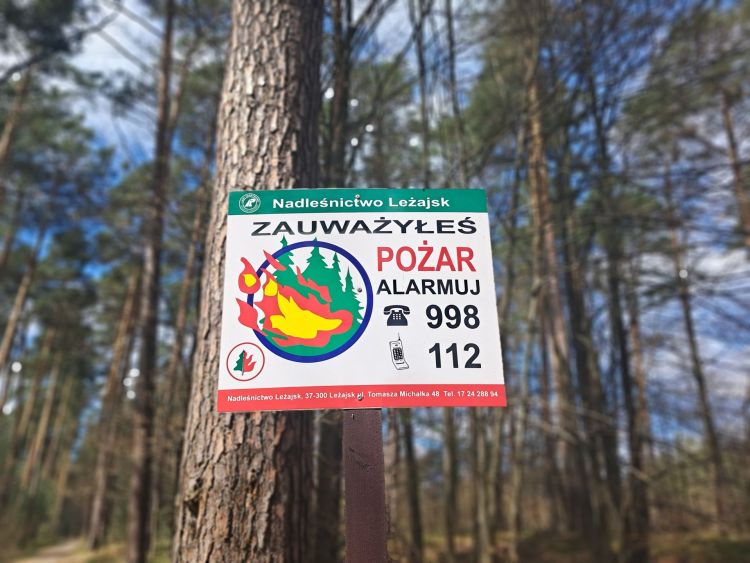 Leśnicy alarmują: W&nbsp;podkarpackich lasach jest sucho. O&nbsp;pożar nietrudno