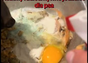 „Radioaktywne jedzenie dla psa”. Sprawą zajmuje się prokuratura w&nbsp;Rzeszowie