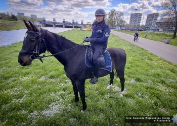 Patrole konne policji wróciły na&nbsp;bulwary w&nbsp;Rzeszowie