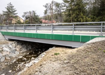 Reagowanie na&nbsp;przemoc wobec zwierząt – wypowiedź ekspertki