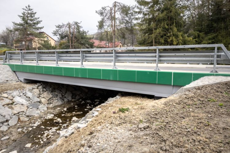 Reagowanie na&nbsp;przemoc wobec zwierząt – wypowiedź ekspertki