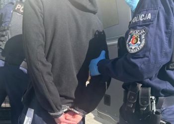 Znęcanie się nad&nbsp;psem w&nbsp;Stalowej Woli. Mężczyzna trafił do&nbsp;aresztu