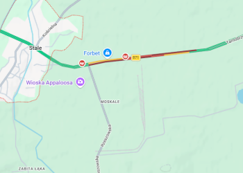 Zderzenie aut na&nbsp;drodze wojewódzkiej. Jedna osoba trafiła do&nbsp;szpitala