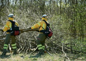 Ćwiczenia w&nbsp;powiecie leskim. Strażacy szkolą się w&nbsp;walce z&nbsp;pożarami lasów