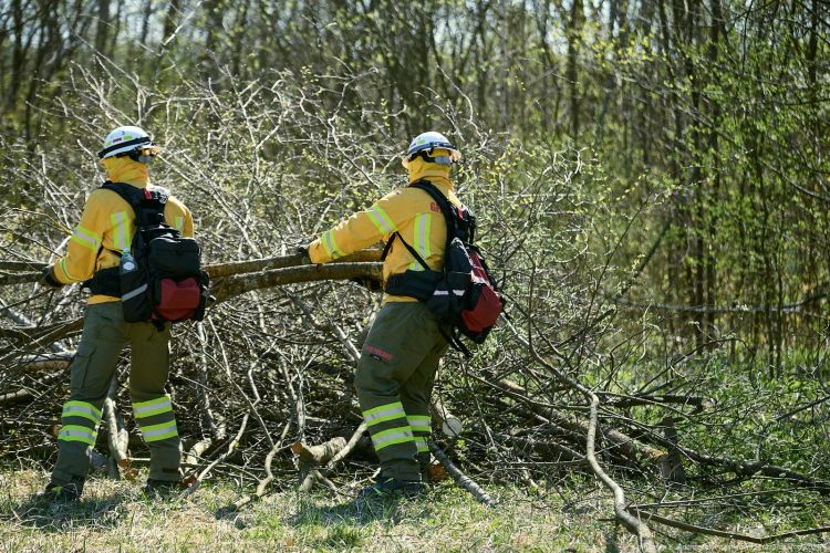 Ćwiczenia w&nbsp;powiecie leskim. Strażacy szkolą się w&nbsp;walce z&nbsp;pożarami lasów