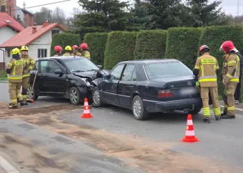 Czołowe zderzenie w&nbsp;Rogach koło Miejsca Piastowego