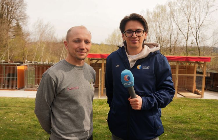 59 psów z&nbsp;jednego domu trafiło do&nbsp;schroniska w&nbsp;Lesku. Placówka apeluje o&nbsp;pomoc
