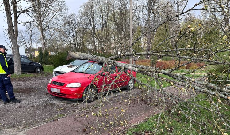 Gwałtowna wichura w powiecie lubaczowskim – liczne zniszczenia i powalone drzewa 1 - Polskie Radio Rzeszów Gwałtowna wichura w powiecie lubaczowskim – liczne zniszczenia i powalone drzewa